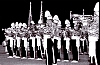 1962_falconer_t096_32a.jpg