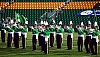 2008_dca_more_horns.jpg
