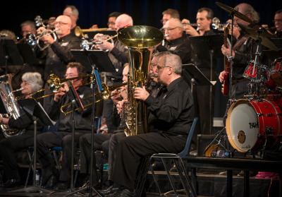 DOCA Brass Ensemble (Simcoe, 2014)
Photo by David Johns
Keywords: 2014