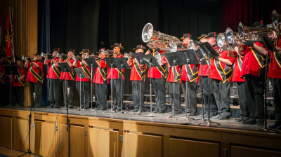 Niagara Militaires Alumni (Simcoe, 2014)
Photo by David Johns
Keywords: 2014