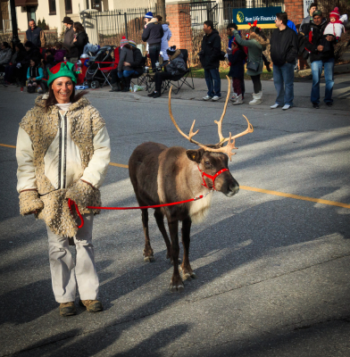 One of Santa's Reindeer (Mississauga Santa Claus Parade, 2015)
Photo by Bob Carell
Keywords: 2015