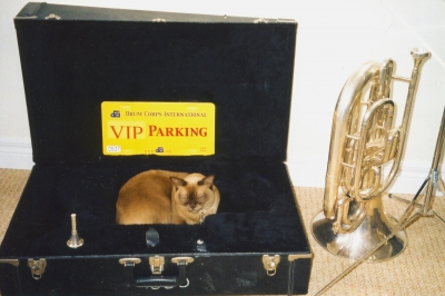 Barry Bell's Cat lives here!
