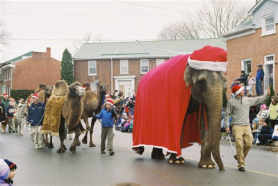 Santa? (Bowmanville, 2005)
Photo submitted by Susan Roberts
Keywords: 2005