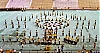 seneca_dci_77_prelims.jpg