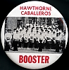 hawthorne_button.jpg