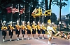 sarnia_lionettes_in_port_dover_b.jpg