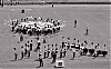 seneca_7_1977_2_v2b1.jpg
