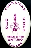 york_lions_button.jpg